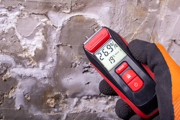 Best Toxic Mold Removal  in Avonmore, PA